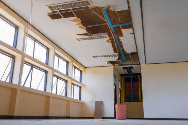  Felton, CA Water damage restoration Pros