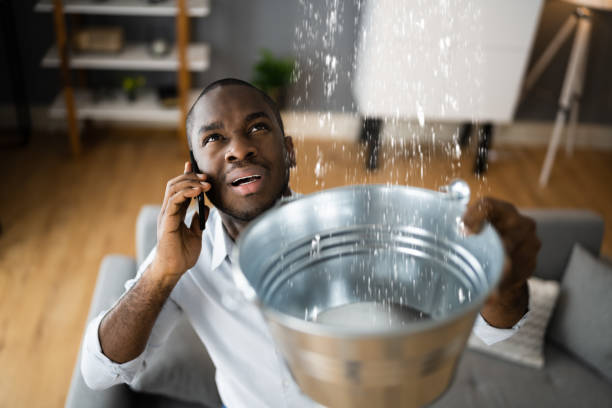 Best Residential water damage restoration  in Felton, CA