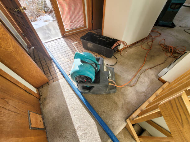 Best Water damage restoration cost  in Felton, CA