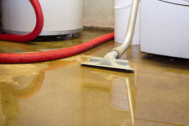 Best Residential water damage restoration  in Felton, CA
