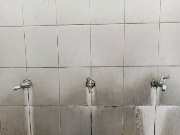 Best Carpet water damage restoration  in Felton, CA