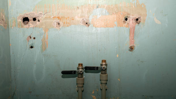 Best Ceiling water damage repair  in Felton, CA