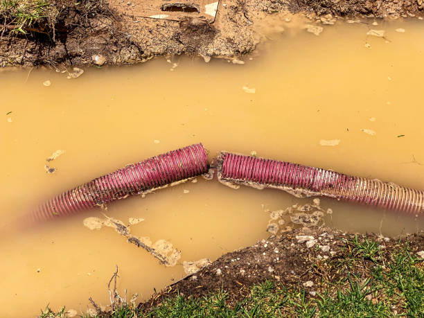 Best Water damage restoration near me  in Felton, CA