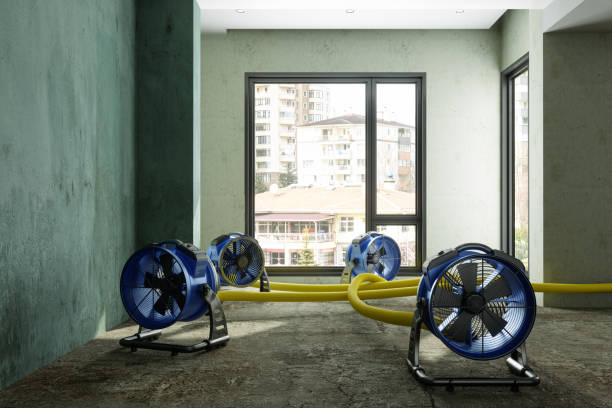 Best Water damage contractors near me  in Felton, CA